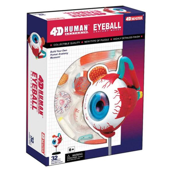 Tedco Toys 4D Anatomy Eyeball Model 26054